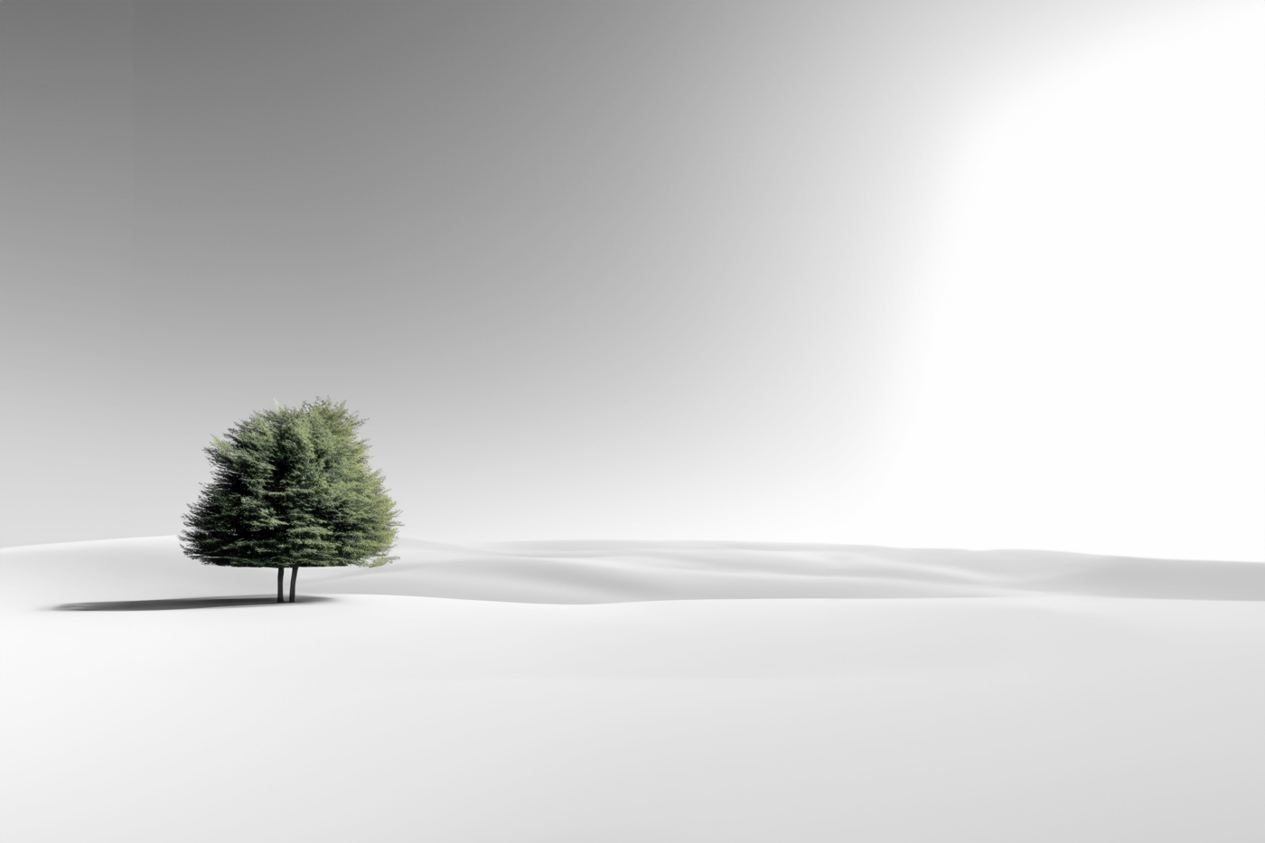 Two trees in minimalistic landscape